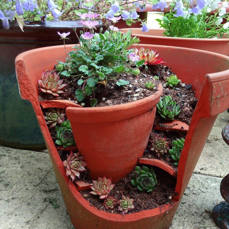 Vasi fai da te: idee originali per il tuo giardino
